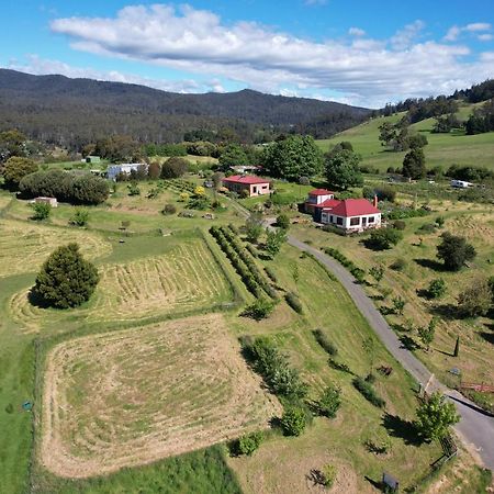 Cherry Top Farmstay - Boutique Eco Village Lilydale Eksteriør billede