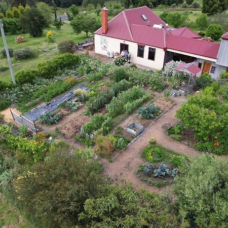 Cherry Top Farmstay - Boutique Eco Village Lilydale Eksteriør billede