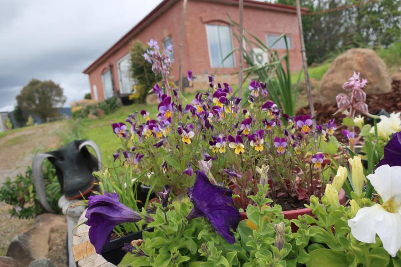 Cherry Top Farmstay - Boutique Eco Village Lilydale Eksteriør billede