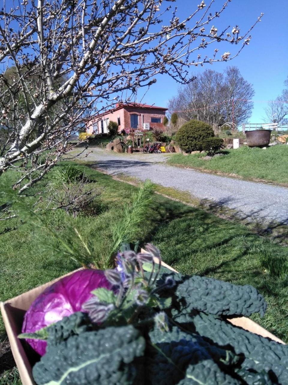 Cherry Top Farmstay - Boutique Eco Village Lilydale Eksteriør billede