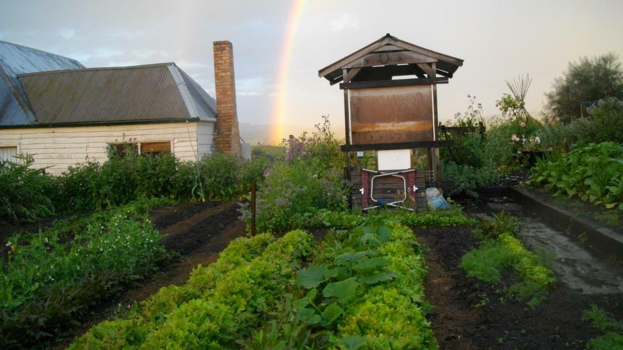 Cherry Top Farmstay - Boutique Eco Village Lilydale Eksteriør billede
