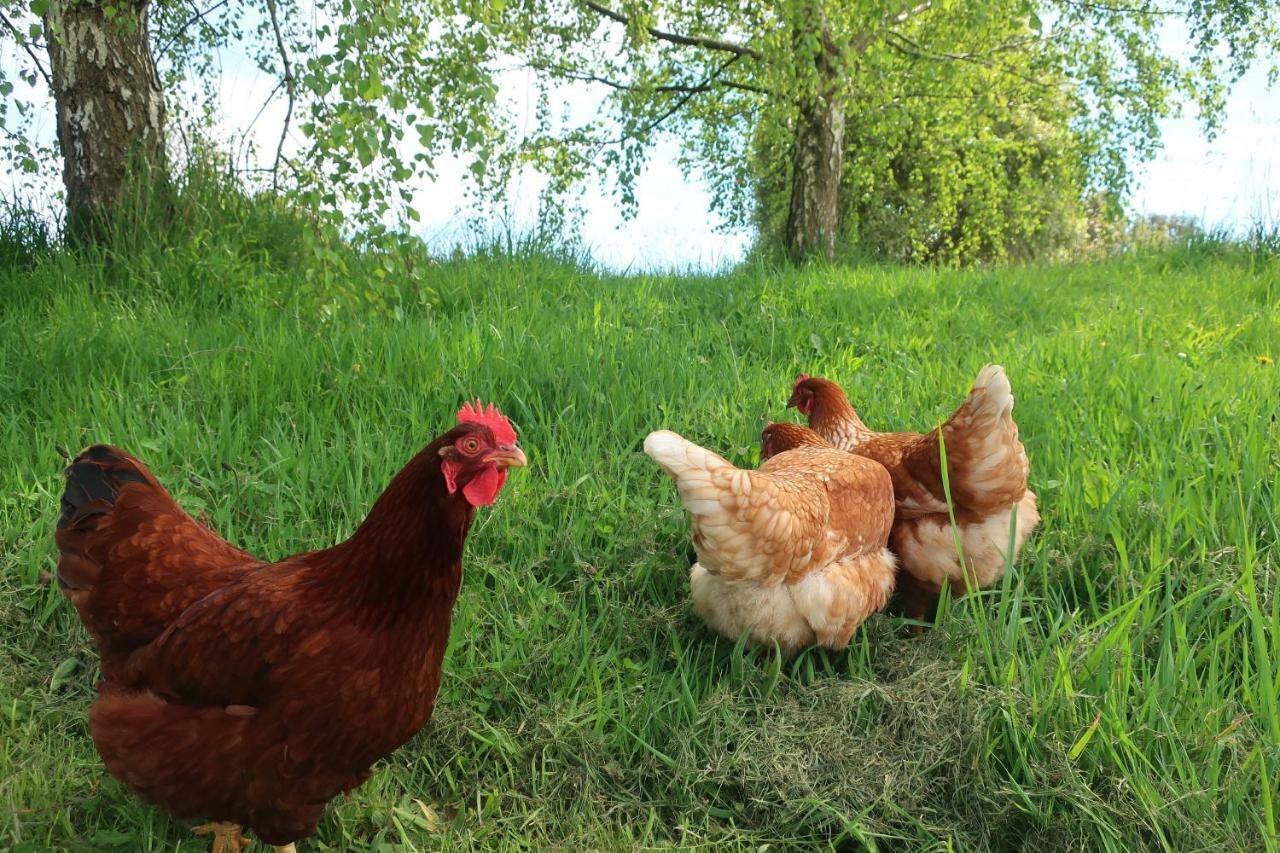 Cherry Top Farmstay - Boutique Eco Village Lilydale Eksteriør billede