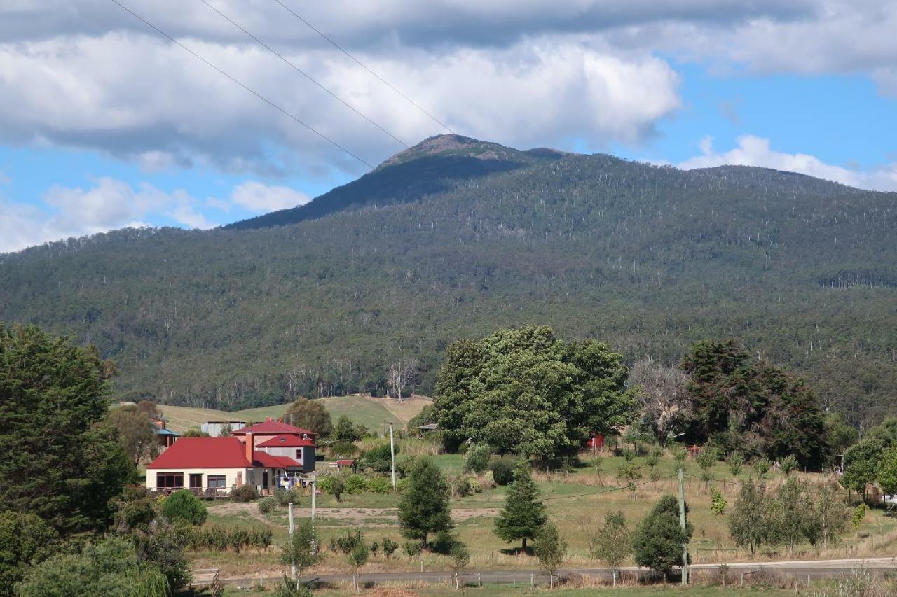 Cherry Top Farmstay - Boutique Eco Village Lilydale Eksteriør billede